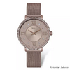 Lady Stainless Steel Watch with Luxury Rhinestones Women's Premium Crystal-Accented Mesh Wristwatch
